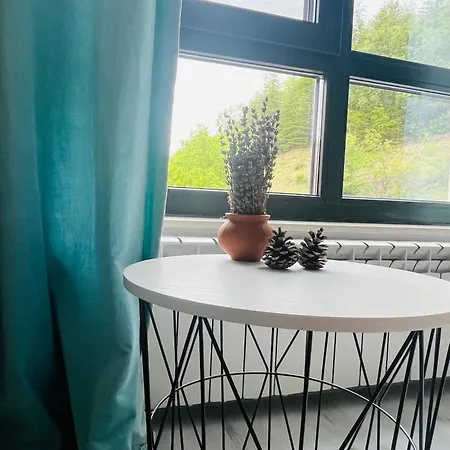 Park Escape 24h Check In ساندانسكي