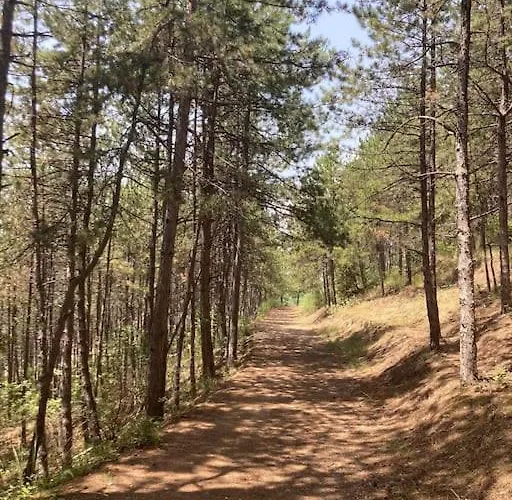 Apartament Park Escape 24h Check In Sandanski